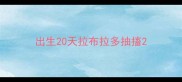 出生20天拉布拉多抽搐