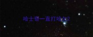 哈士奇一直打哈欠