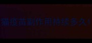 猫疫苗副作用持续多久