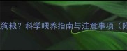 泰迪犬多大停止泡狗粮科学喂养指南与注意事项附阶段过渡方案