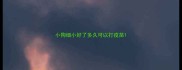 小狗细小好了多久可以打疫苗