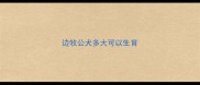 边牧公犬多大可以生育