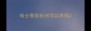 哈士奇在杭州可以养吗