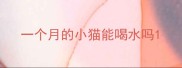 一个月的小猫能喝水吗