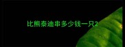 比熊泰迪串多少钱一只