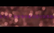 成年哈士奇体重多少斤附标准体重范围与饲养指南附对照表
