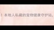 汉中爱宠宠物医院口碑炸裂本地人私藏的宠物健康守护站看完这篇再带毛孩子看病