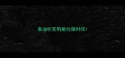泰迪吃完狗粮拉屎时间