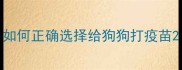 如何正确选择给狗狗打疫苗
