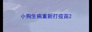 小狗生病重新打疫苗
