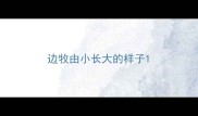 边牧由小长大的样子