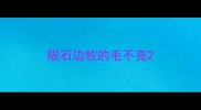 陨石边牧的毛不亮