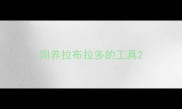 饲养拉布拉多的工具
