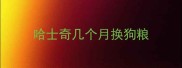 哈士奇几个月换狗粮