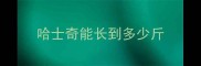 哈士奇能长到多少斤