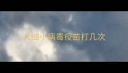 犬细小病毒疫苗打几次