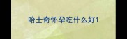 哈士奇怀孕吃什么好