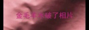 金毛羊水破了相片