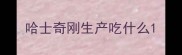 哈士奇刚生产吃什么