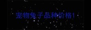 宠物兔子品种价格