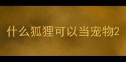 什么狐狸可以当宠物