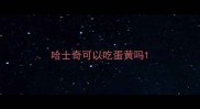 哈士奇可以吃蛋黄吗