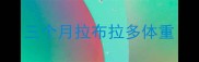 三个月拉布拉多体重