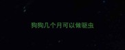 狗狗几个月可以做驱虫