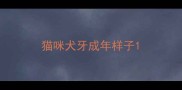 猫咪犬牙成年样子