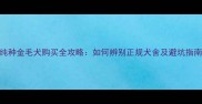 纯种金毛犬购买全攻略如何辨别正规犬舍及避坑指南