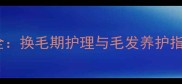 金毛幼犬几个月毛长全换毛期护理与毛发养护指南附阶段特征图