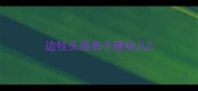 边牧头顶有个硬块儿