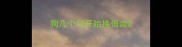 狗几个月开始换恒齿