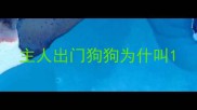 主人出门狗狗为什叫