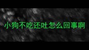 小狗不吃还吐怎么回事啊