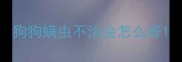 狗狗螨虫不治会怎么样
