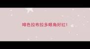 啡色拉布拉多眼角好红
