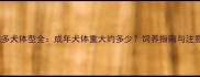 拉布拉多犬体型全成年犬体重大约多少饲养指南与注意事项