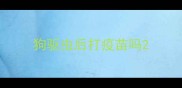 狗驱虫后打疫苗吗