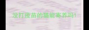 没打疫苗的猫能寄养吗