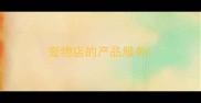 宠物店的产品服务
