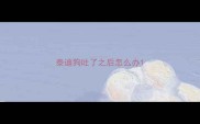 泰迪狗吐了之后怎么办