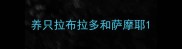 养只拉布拉多和萨摩耶