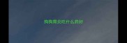 狗狗胃炎吃什么药好
