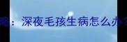 北京24小时宠物急诊全攻略深夜毛孩生病怎么办这份救命指南请收好