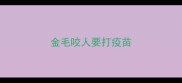 金毛咬人要打疫苗