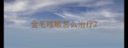 金毛咳嗽怎么治疗