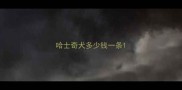 哈士奇犬多少钱一条