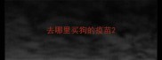 去哪里买狗的疫苗