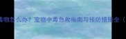 拉布拉多误食毒物怎么办宠物中毒急救指南与预防措施全附真实案例